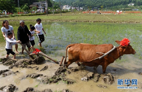 201805111915520IRI1S