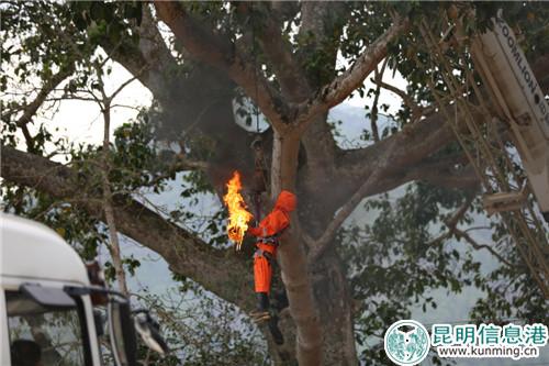 微信图片_20180521102905