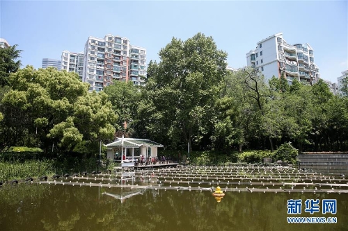 1122876794_15270663249191n 1122876794_15270663249191n