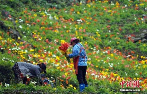 6ead93059f1f4a42b18711d200b2271e