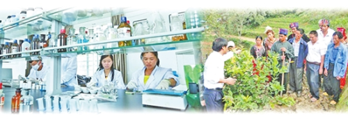 }IUQ{5GJQ5H{DD(44]SCGLJ