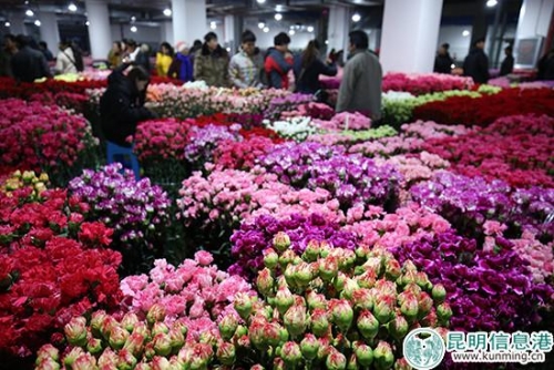 斗南花卉新市场康乃馨交易区 供图