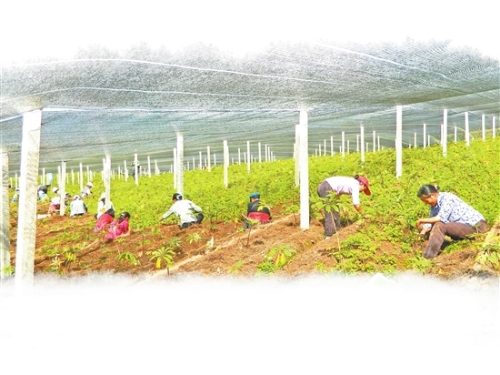 2018060808_res03_attpic_brief