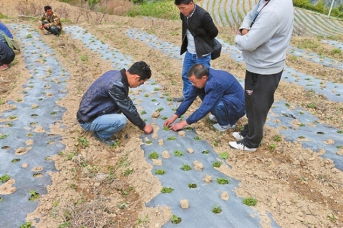 2018060808_res11_attpic_brief