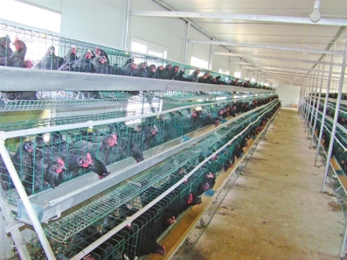 2018060808_res19_attpic_brief