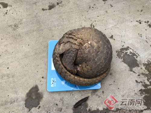 000c29d1d6171c88c85538