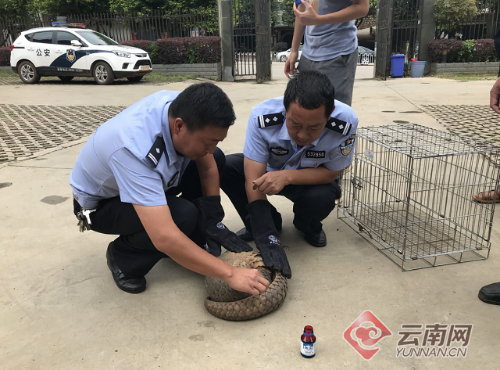 000c29d1d6171c88c85539