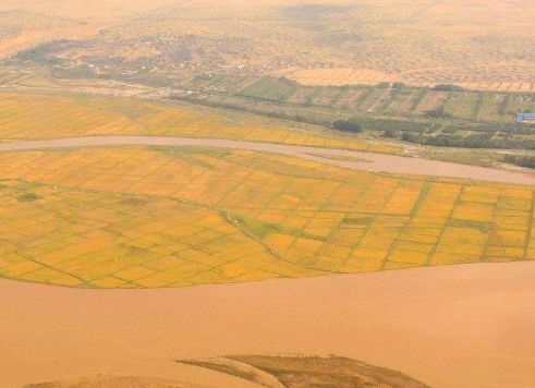 if(/(iPhone|iPad|iPod|iOS)/i.test(navigator.userAgent)){
document.write("<span class='rich_media_title_ios'>重大突破!中国科学家让稻田出现在中东沙漠!</span>");
}else{
document.write("重大突破!中国科学家让稻田出现在中东沙漠!");
}