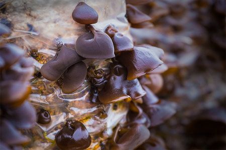 20180623161103VEG7U3