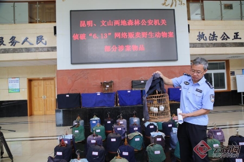 00300014289_i1000900000900a0_67a4f22d