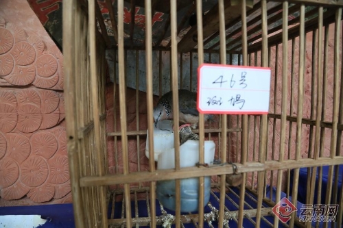 00300014287_i1000900000900a0_20d6f1e9