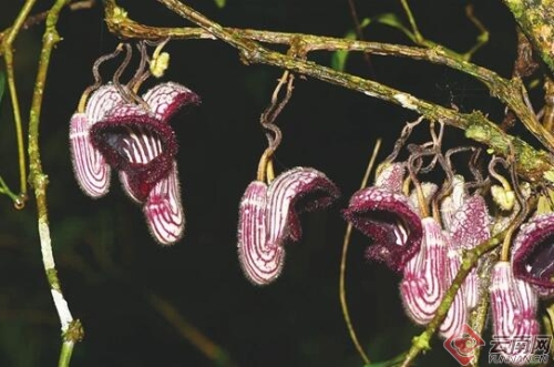 00300019901_18c0d886