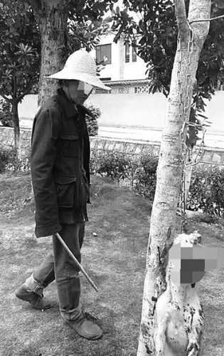 00300019891_654e7c03 00300019891_654e7c03