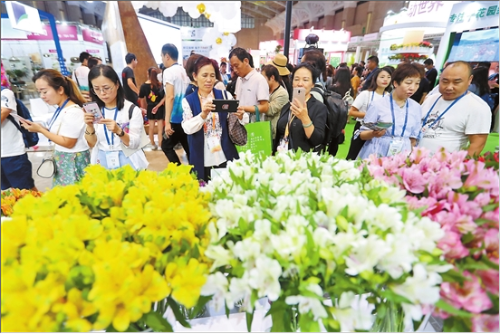 QQ截图201807140930593 QQ截图201807140930593