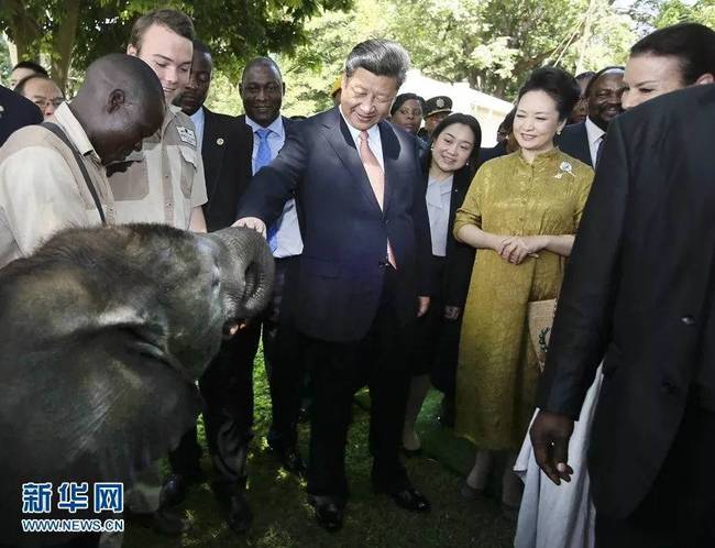 【原声】习主席的中东非洲出访足迹