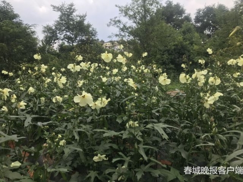 20180723171027QBDMA4