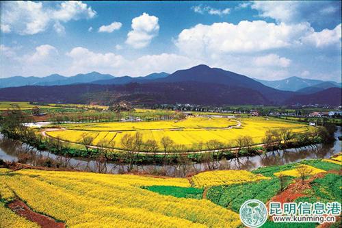 2105793487 2105793487