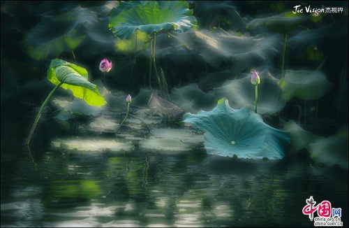 0f0bff12-178a-41d8-a351-8e89b7ebbb8e_batchwm