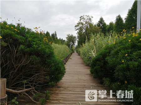 微信图片_20180801130547_副本.jpg