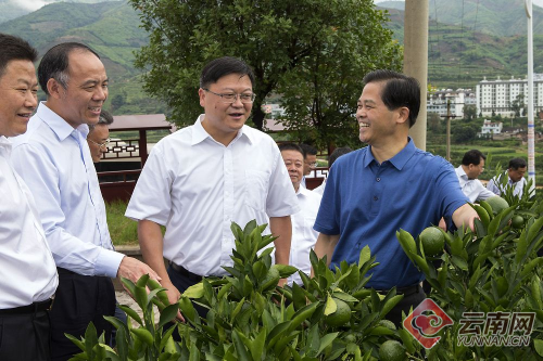 00300050320_2ac4de2b 00300050320_2ac4de2b