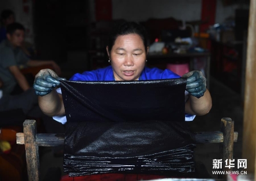 侗家妇女从染缸中取出染好的侗布 侗家妇女从染缸中取出染好的侗布