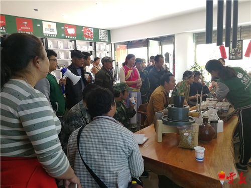 让种在树上的紫皮石斛助力福贡马吉米村脱贫攻坚