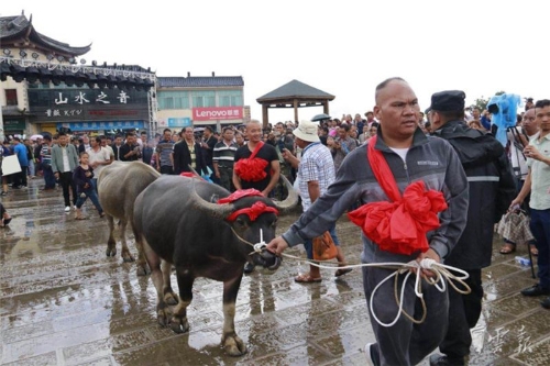 元阳新街:梯田里过火把节