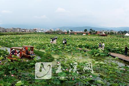 1_20180807215922105 1_20180807215922105