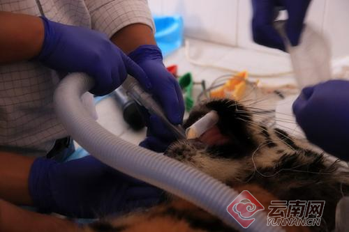 00300057924_4529f8a9 00300057924_4529f8a9