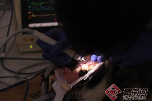 00300057926_06c5a01a 00300057926_06c5a01a