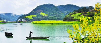 1534106127499_1 1534106127499_1