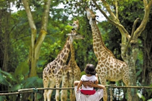 7d53ffae-ee86-4c09-99af-9a429aa180ba 7d53ffae-ee86-4c09-99af-9a429aa180ba