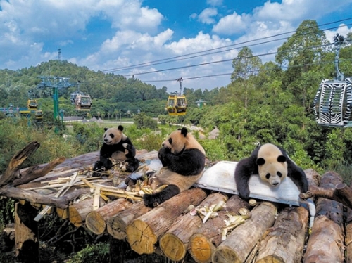 d61e503b-1355-44a2-b483-0b4885ba6e75 d61e503b-1355-44a2-b483-0b4885ba6e75