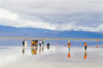 44525ef7-6c06-45f0-9bce-81dd3e2cbd23