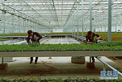 1123291818_15346442477341n (1) 1123291818_15346442477341n (1)