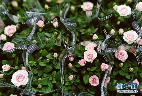 1123291818_15346442476191n 1123291818_15346442476191n