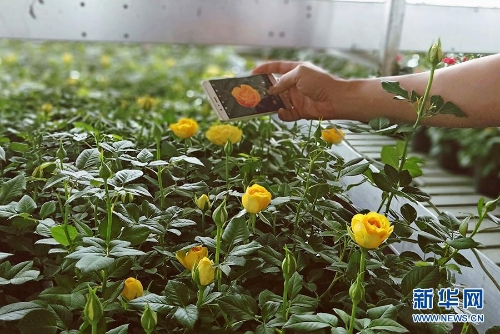 1123291818_15346442476611n 1123291818_15346442476611n