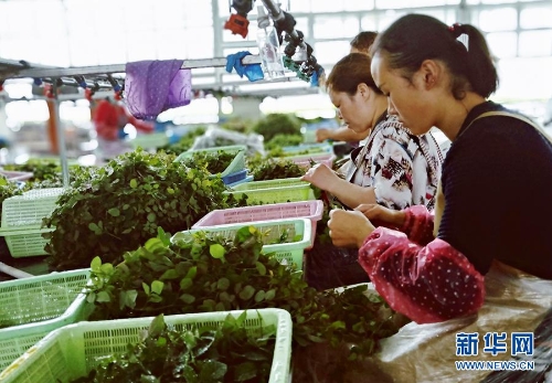 1123291818_15346442476981n 1123291818_15346442476981n