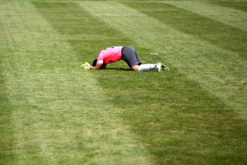 W020180820420337978664 W020180820420337978664