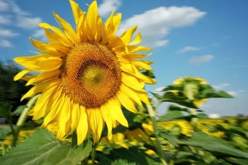 W020180821566418140667