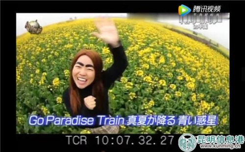 日本电视台主持人在罗平油菜花田中唱歌。 日本电视台主持人在罗平油菜花田中唱歌。