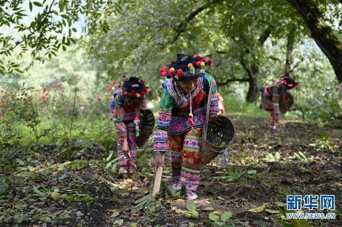 137438090_15358529832451n