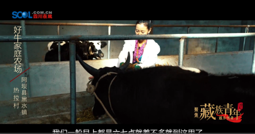 QQ截图20180905173759