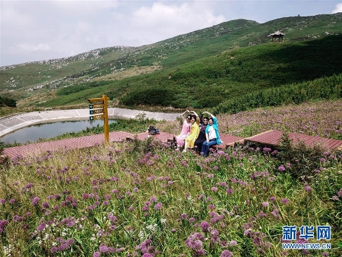 1123385237_15361451049511n