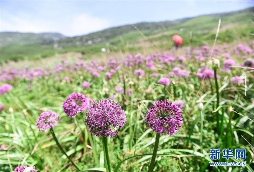 1123385237_15361451050601n