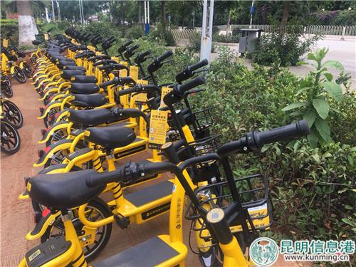 图片3：松果电单车不设多人座位，仅支持单人骑车。