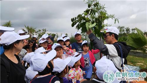 杨礼攀为市民讲解湿地植物。刘璐璐摄