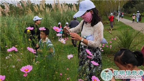 参加活动的市民们寻找到第一种植物。刘璐璐摄