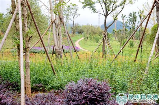 QQ截图20180916170603 QQ截图20180916170603