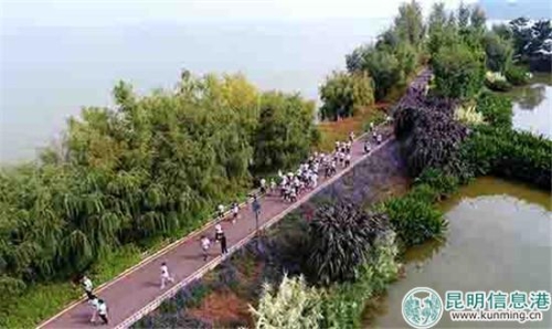 市民们在健走过程中。昆明日报记者周密摄